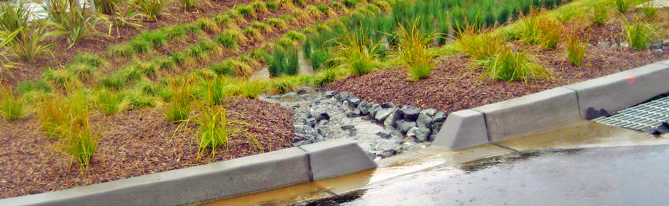 Stormwater Overview / Bioretention Facility
