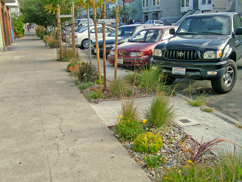 Sidewalk Landscaping