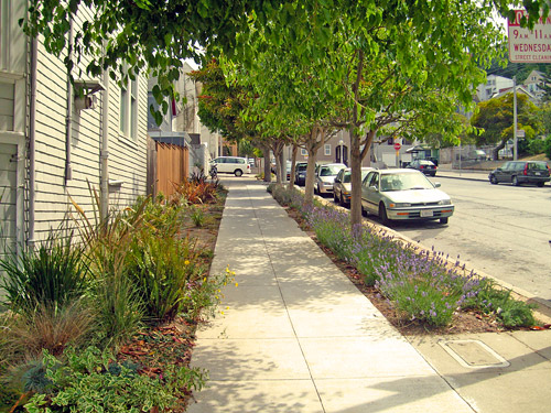 Sidewalk Landscaping